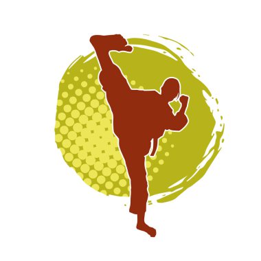 Dövüş sanatları tekmesi atan bir kadının silueti. Sportif bir kadının silueti tekme hareketi yapıyor..