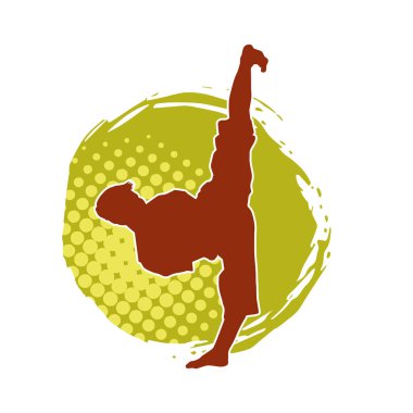 Dövüş sanatları pozu veren bir erkeğin silueti. Dövüş sanatları ustasının silueti tekme atma pozu veriyor..