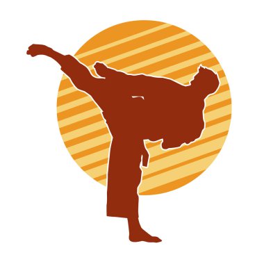 Dövüş sanatları pozu veren bir erkeğin silueti. Dövüş sanatları ustasının silueti tekme atma pozu veriyor..