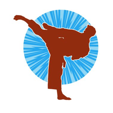 Dövüş sanatları pozu veren bir erkeğin silueti. Dövüş sanatları ustasının silueti tekme atma pozu veriyor..