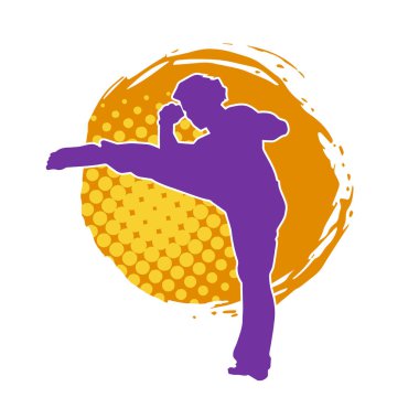 Dövüş sanatları pozu veren bir erkeğin silueti. Dövüş sanatları ustasının silueti tekme atma pozu veriyor..