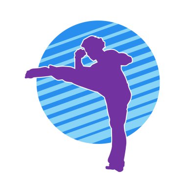 Dövüş sanatları pozu veren bir erkeğin silueti. Dövüş sanatları ustasının silueti tekme atma pozu veriyor..