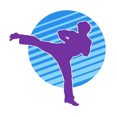 Dövüş sanatları pozu veren bir erkeğin silueti. Dövüş sanatları ustasının silueti tekme atma pozu veriyor..