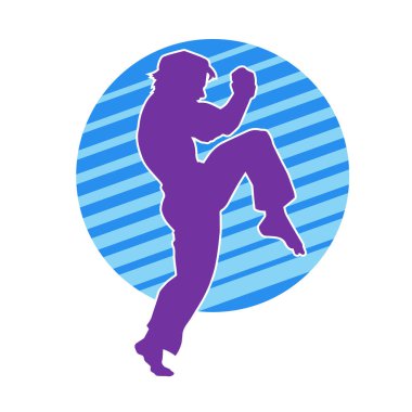 Dövüş sanatları pozu veren bir erkeğin silueti. Dövüş sanatları ustasının silueti tekme atma pozu veriyor..