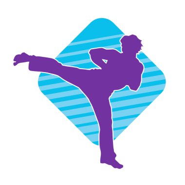 Dövüş sanatları pozu veren bir erkeğin silueti. Dövüş sanatları ustasının silueti tekme atma pozu veriyor..