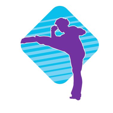 Dövüş sanatları pozu veren bir erkeğin silueti. Dövüş sanatları ustasının silueti tekme atma pozu veriyor..