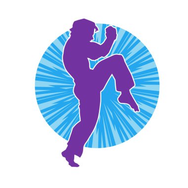 Dövüş sanatları pozu veren bir erkeğin silueti. Dövüş sanatları ustasının silueti tekme atma pozu veriyor..