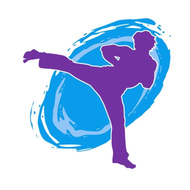 Dövüş sanatları pozu veren bir erkeğin silueti. Dövüş sanatları ustasının silueti tekme atma pozu veriyor..