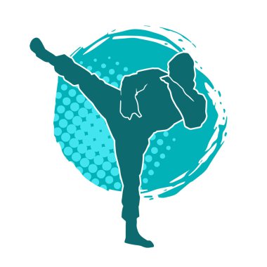 Dövüş sanatları pozu veren bir erkeğin silueti. Dövüş sanatları ustasının silueti tekme atma pozu veriyor..