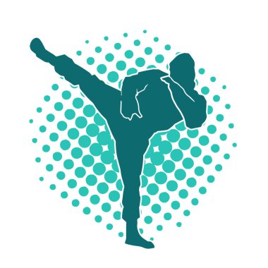 Dövüş sanatları pozu veren bir erkeğin silueti. Dövüş sanatları ustasının silueti tekme atma pozu veriyor..