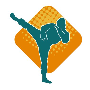 Dövüş sanatları pozu veren bir erkeğin silueti. Dövüş sanatları ustasının silueti tekme atma pozu veriyor..