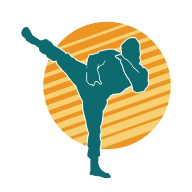 Dövüş sanatları pozu veren bir erkeğin silueti. Dövüş sanatları ustasının silueti tekme atma pozu veriyor..