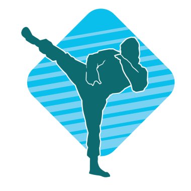 Dövüş sanatları pozu veren bir erkeğin silueti. Dövüş sanatları ustasının silueti tekme atma pozu veriyor..