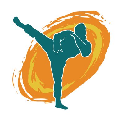 Dövüş sanatları pozu veren bir erkeğin silueti. Dövüş sanatları ustasının silueti tekme atma pozu veriyor..