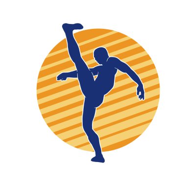 Dövüş sanatları pozu veren bir erkeğin silueti. Dövüş sanatları ustasının silueti tekme atma pozu veriyor..