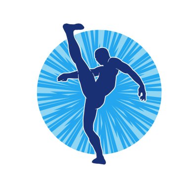 Dövüş sanatları pozu veren bir erkeğin silueti. Dövüş sanatları ustasının silueti tekme atma pozu veriyor..