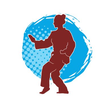 Dövüş sanatları yapan zayıf bir kadının silueti. Dövüş sanatlarında çalışan bir kadının silueti..