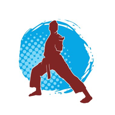 Dövüş sanatları yapan zayıf bir kadının silueti. Dövüş sanatlarında çalışan bir kadının silueti..