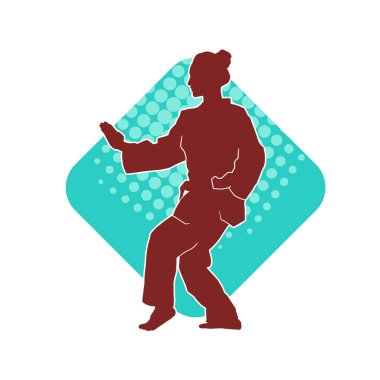 Dövüş sanatları yapan zayıf bir kadının silueti. Dövüş sanatlarında çalışan bir kadının silueti..