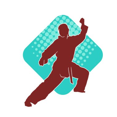 Dövüş sanatları yapan zayıf bir kadının silueti. Dövüş sanatlarında çalışan bir kadının silueti..