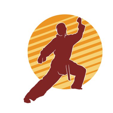 Dövüş sanatları yapan zayıf bir kadının silueti. Dövüş sanatlarında çalışan bir kadının silueti..