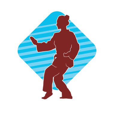 Dövüş sanatları yapan zayıf bir kadının silueti. Dövüş sanatlarında çalışan bir kadının silueti..