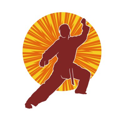 Dövüş sanatları yapan zayıf bir kadının silueti. Dövüş sanatlarında çalışan bir kadının silueti..