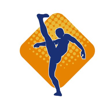 Dövüş sanatları pozu veren bir erkeğin silueti. Dövüş sanatları ustasının silueti tekme atma pozu veriyor..