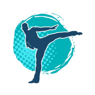 Dövüş sanatları pozu veren bir erkeğin silueti. Dövüş sanatları ustasının silueti tekme atma pozu veriyor..