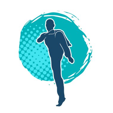 Doğu dövüş sanatı pozu veren bir adamın silueti. Dövüş sanatlarında bir erkeğin silueti..