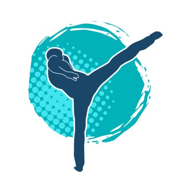 Dövüş sanatları pozu veren bir erkeğin silueti. Dövüş sanatları ustasının silueti tekme atma pozu veriyor..