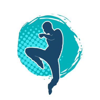 Doğu dövüş sanatı pozu veren bir adamın silueti. Dövüş sanatlarında bir erkeğin silueti..