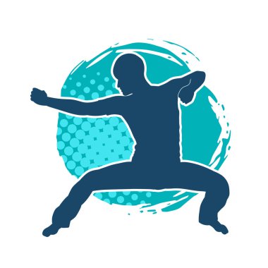 Doğu dövüş sanatı pozu veren bir adamın silueti. Dövüş sanatlarında bir erkeğin silueti..