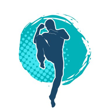 Doğu dövüş sanatı pozu veren bir adamın silueti. Dövüş sanatlarında bir erkeğin silueti..