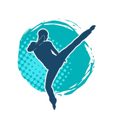 Dövüş sanatları pozu veren bir erkeğin silueti. Dövüş sanatları ustasının silueti tekme atma pozu veriyor..