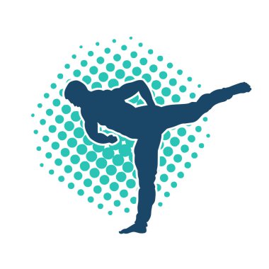 Dövüş sanatları pozu veren bir erkeğin silueti. Dövüş sanatları ustasının silueti tekme atma pozu veriyor..