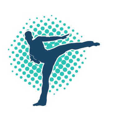 Dövüş sanatları pozu veren bir erkeğin silueti. Dövüş sanatları ustasının silueti tekme atma pozu veriyor..