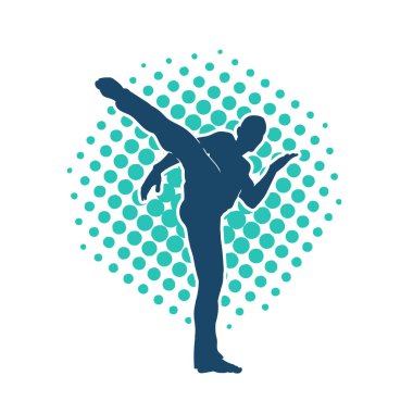 Dövüş sanatları pozu veren bir erkeğin silueti. Dövüş sanatları ustasının silueti tekme atma pozu veriyor..