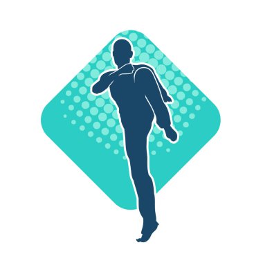 Doğu dövüş sanatı pozu veren bir adamın silueti. Dövüş sanatlarında bir erkeğin silueti..