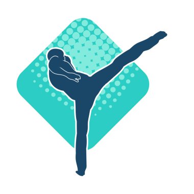 Dövüş sanatları pozu veren bir erkeğin silueti. Dövüş sanatları ustasının silueti tekme atma pozu veriyor..