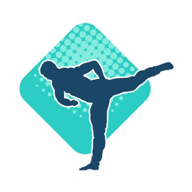 Dövüş sanatları pozu veren bir erkeğin silueti. Dövüş sanatları ustasının silueti tekme atma pozu veriyor..