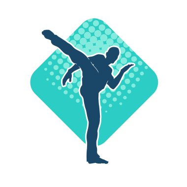 Dövüş sanatları pozu veren bir erkeğin silueti. Dövüş sanatları ustasının silueti tekme atma pozu veriyor..