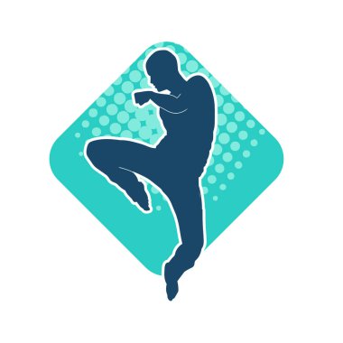 Doğu dövüş sanatı pozu veren bir adamın silueti. Dövüş sanatlarında bir erkeğin silueti..