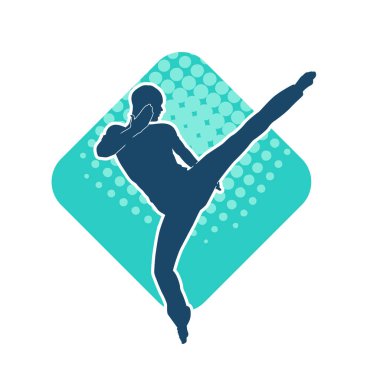 Dövüş sanatları pozu veren bir erkeğin silueti. Dövüş sanatları ustasının silueti tekme atma pozu veriyor..