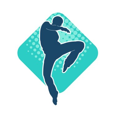 Doğu dövüş sanatı pozu veren bir adamın silueti. Dövüş sanatlarında bir erkeğin silueti..