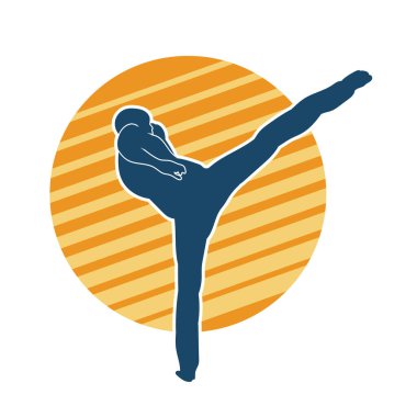 Dövüş sanatları pozu veren bir erkeğin silueti. Dövüş sanatları ustasının silueti tekme atma pozu veriyor..