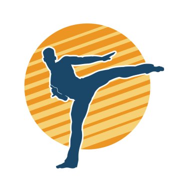 Dövüş sanatları pozu veren bir erkeğin silueti. Dövüş sanatları ustasının silueti tekme atma pozu veriyor..