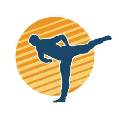 Dövüş sanatları pozu veren bir erkeğin silueti. Dövüş sanatları ustasının silueti tekme atma pozu veriyor..