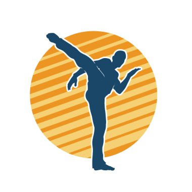 Dövüş sanatları pozu veren bir erkeğin silueti. Dövüş sanatları ustasının silueti tekme atma pozu veriyor..