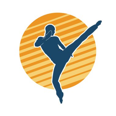 Dövüş sanatları pozu veren bir erkeğin silueti. Dövüş sanatları ustasının silueti tekme atma pozu veriyor..